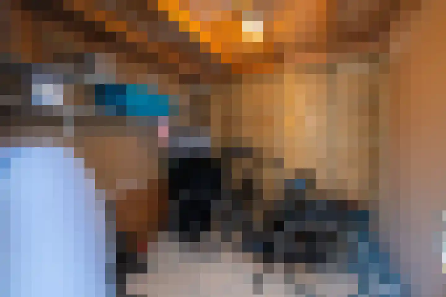 Valeriaan 26 Oudkarspel thumbnail 32