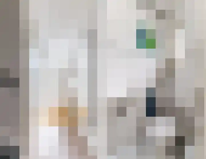 Valeriaan 27 Goirle thumbnail 11