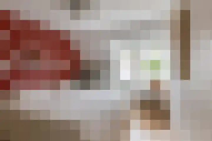 Valeriaan 27 Goirle thumbnail 12