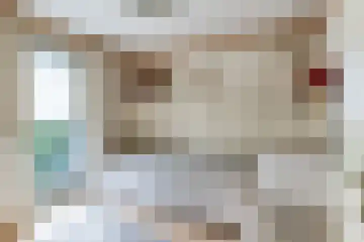 Valeriaan 27 Goirle thumbnail 16