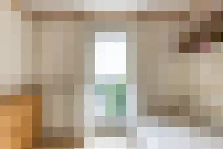 Valeriaan 27 Goirle thumbnail 17