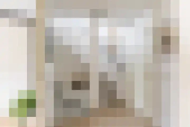 Valeriaan 27 Goirle thumbnail 19