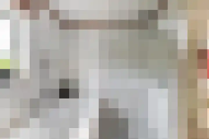 Valeriaan 27 Goirle thumbnail 20