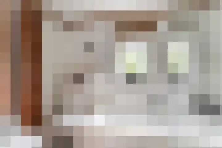 Valeriaan 27 Goirle thumbnail 21