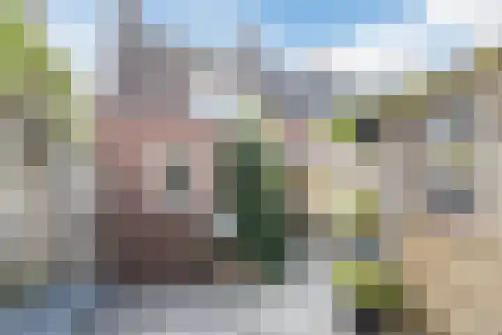Valeriaan 27 Goirle thumbnail 25