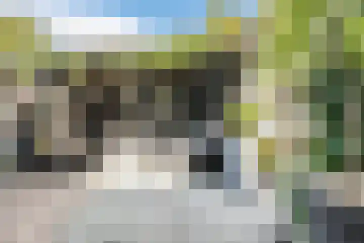 Valeriaan 27 Goirle thumbnail 27