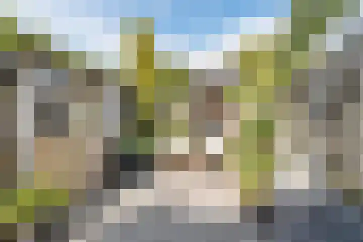 Valeriaan 27 Goirle thumbnail 28