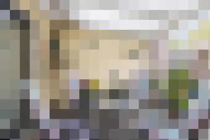 Valeriaan 27 Goirle thumbnail 29