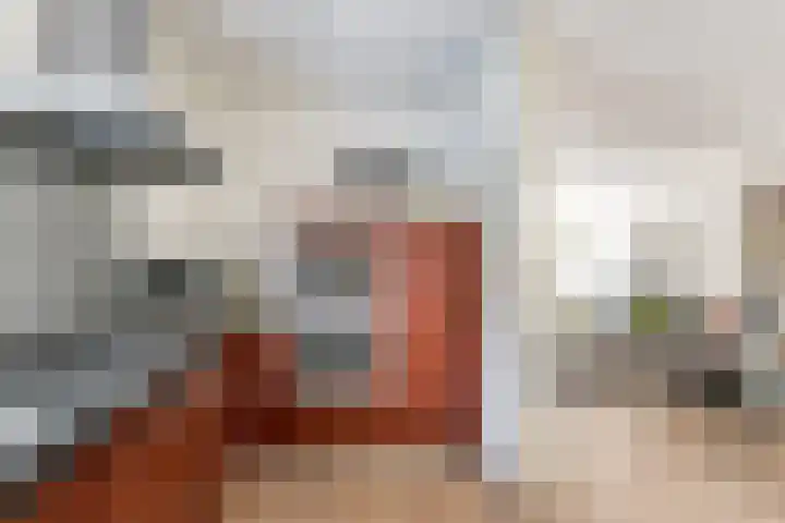 Valeriaan 27 Goirle thumbnail 7