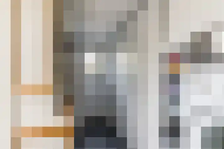 Valeriaan 27 Goirle thumbnail 9