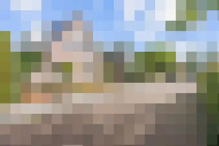 Valeriaan 28 Marum thumbnail 14