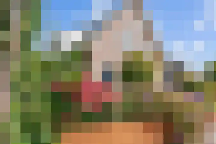 Valeriaan 28 Marum thumbnail 15