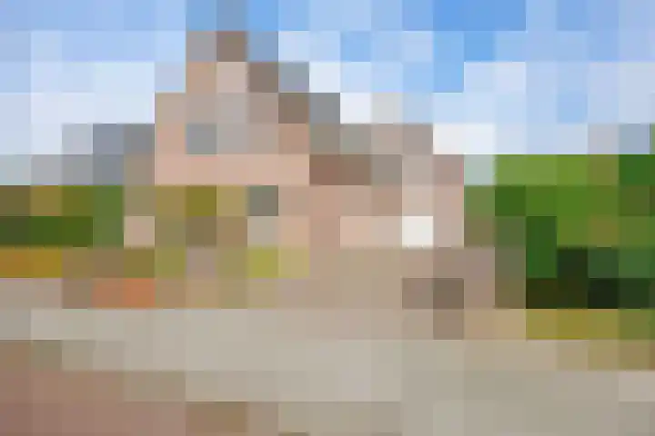 Valeriaan 28 Marum thumbnail 17
