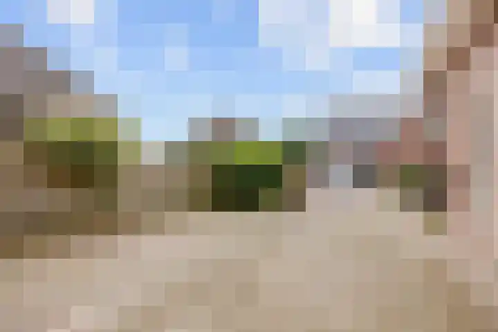 Valeriaan 28 Marum thumbnail 19