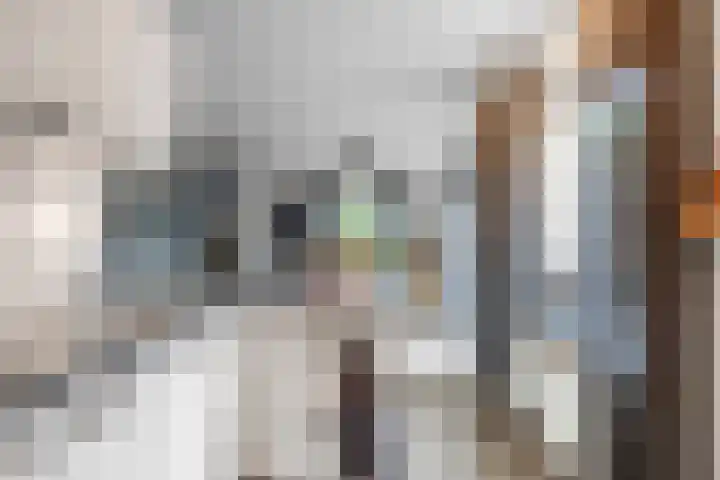 Valeriaan 28 Marum thumbnail 34