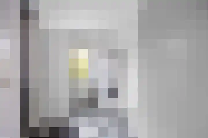 Valeriaan 28 Marum thumbnail 35