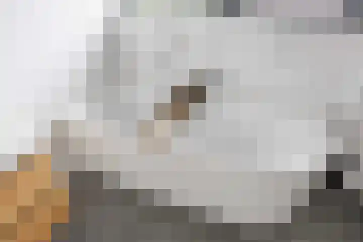 Valeriaan 28 Marum thumbnail 45