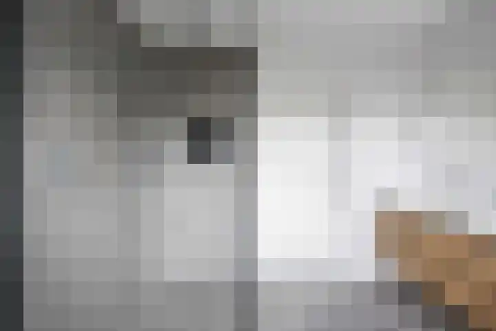 Valeriaan 28 Marum thumbnail 47