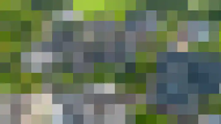 Valeriaan 28 Marum thumbnail 63