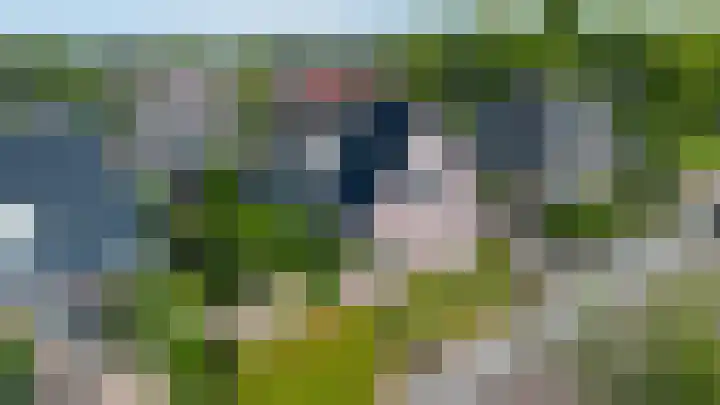 Valeriaan 28 Marum thumbnail 9