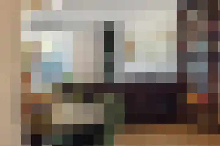 Valeriaan 28 's-Hertogenbosch thumbnail 10