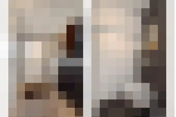 Valeriaan 28 's-Hertogenbosch thumbnail 13