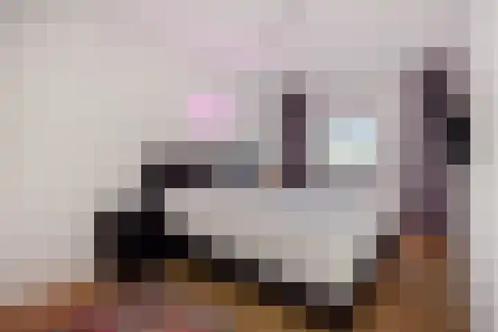 Valeriaan 28 's-Hertogenbosch thumbnail 15