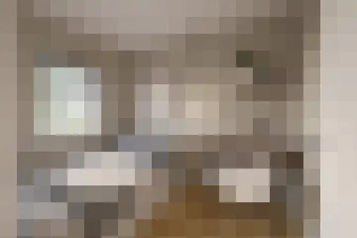 Valeriaan 28 's-Hertogenbosch thumbnail 18