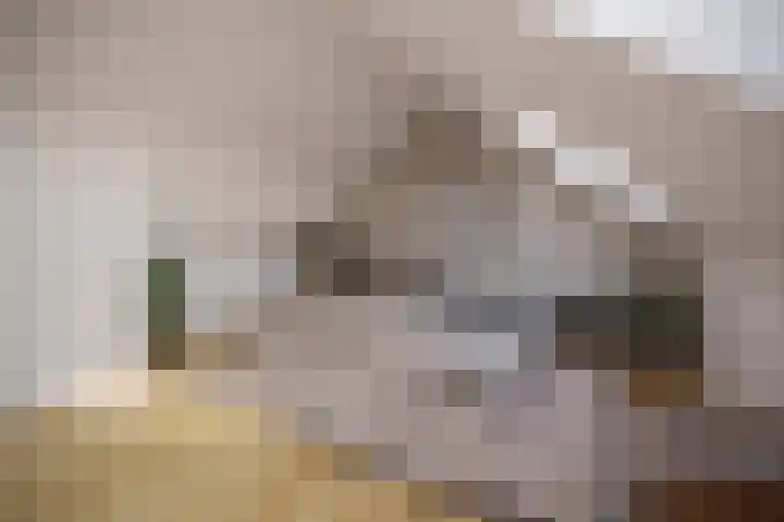 Valeriaan 28 's-Hertogenbosch thumbnail 23