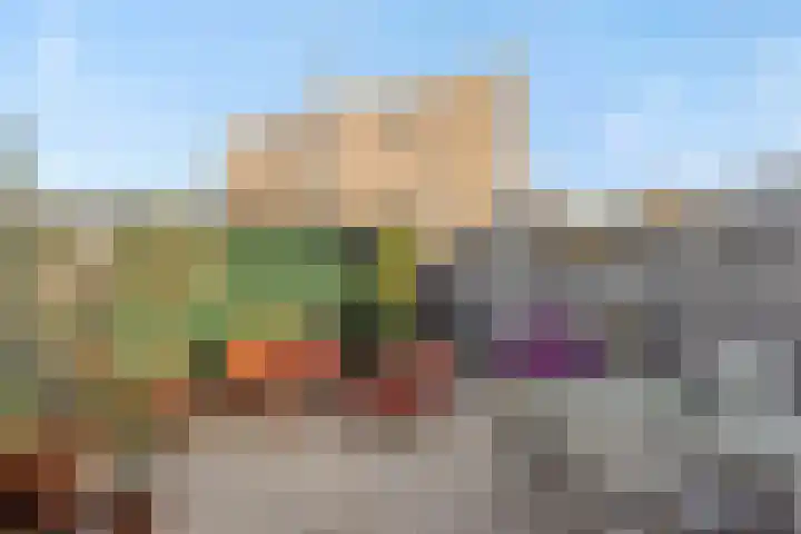 Valeriaan 28 's-Hertogenbosch thumbnail 25