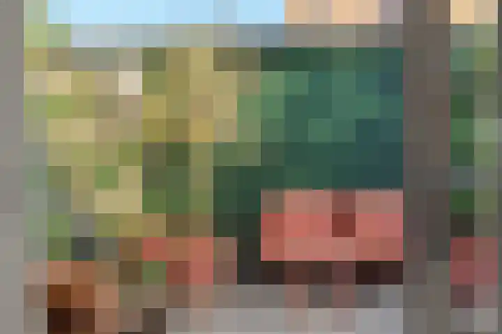 Valeriaan 28 's-Hertogenbosch thumbnail 26