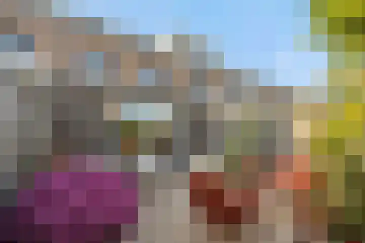 Valeriaan 28 's-Hertogenbosch thumbnail 27