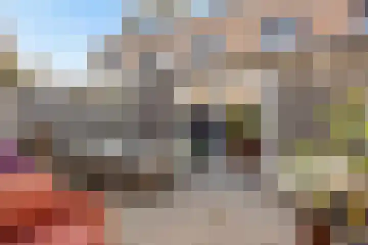 Valeriaan 28 's-Hertogenbosch thumbnail 28
