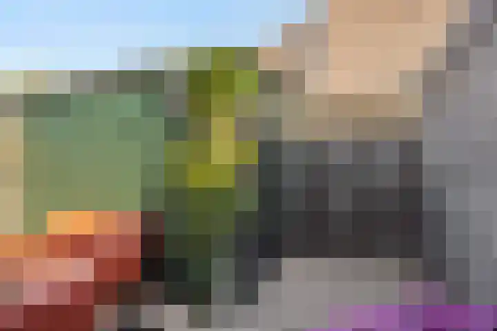 Valeriaan 28 's-Hertogenbosch thumbnail 29