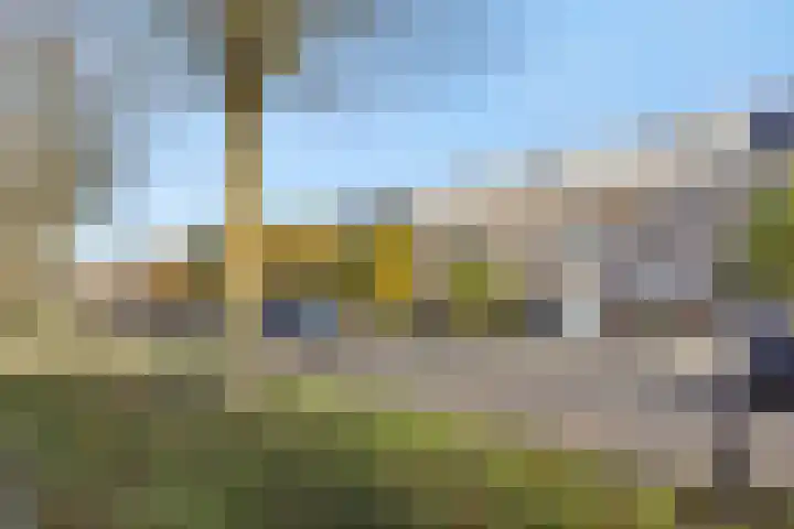 Valeriaan 28 's-Hertogenbosch thumbnail 30