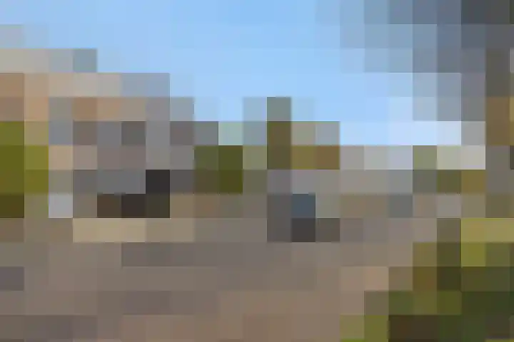 Valeriaan 28 's-Hertogenbosch thumbnail 31