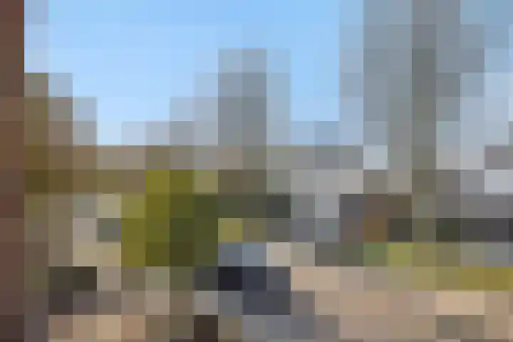 Valeriaan 28 's-Hertogenbosch thumbnail 32