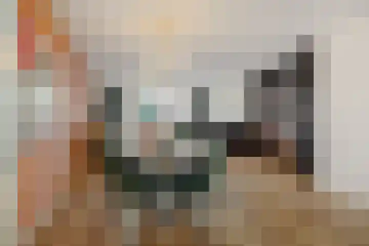 Valeriaan 28 's-Hertogenbosch thumbnail 8