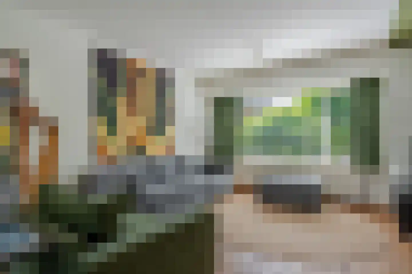 Valeriaan 29 Heerenveen thumbnail 14