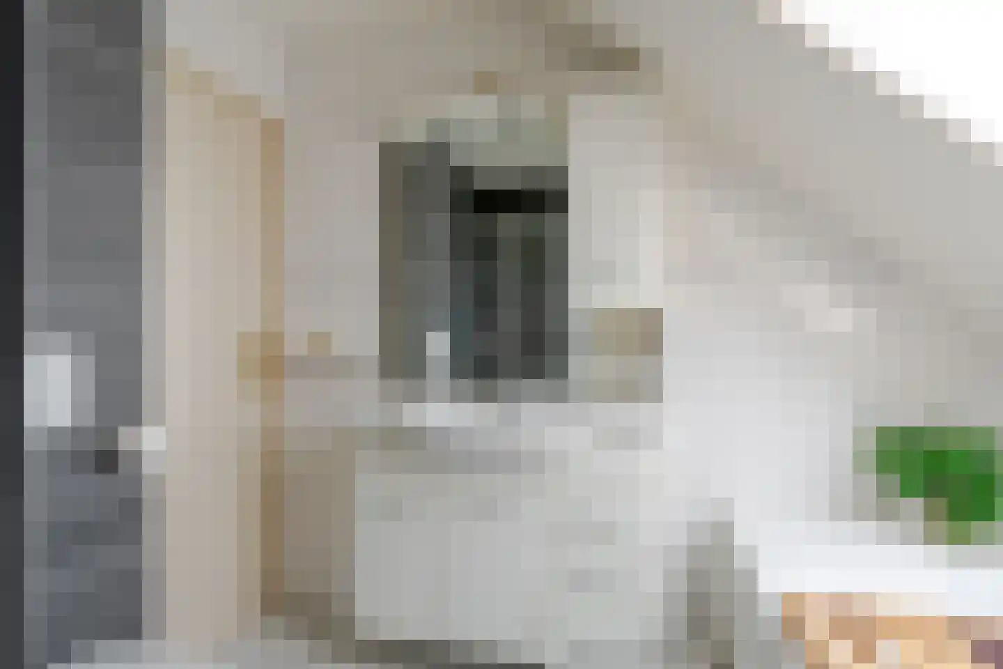 Valeriaan 29 Heerenveen thumbnail 39