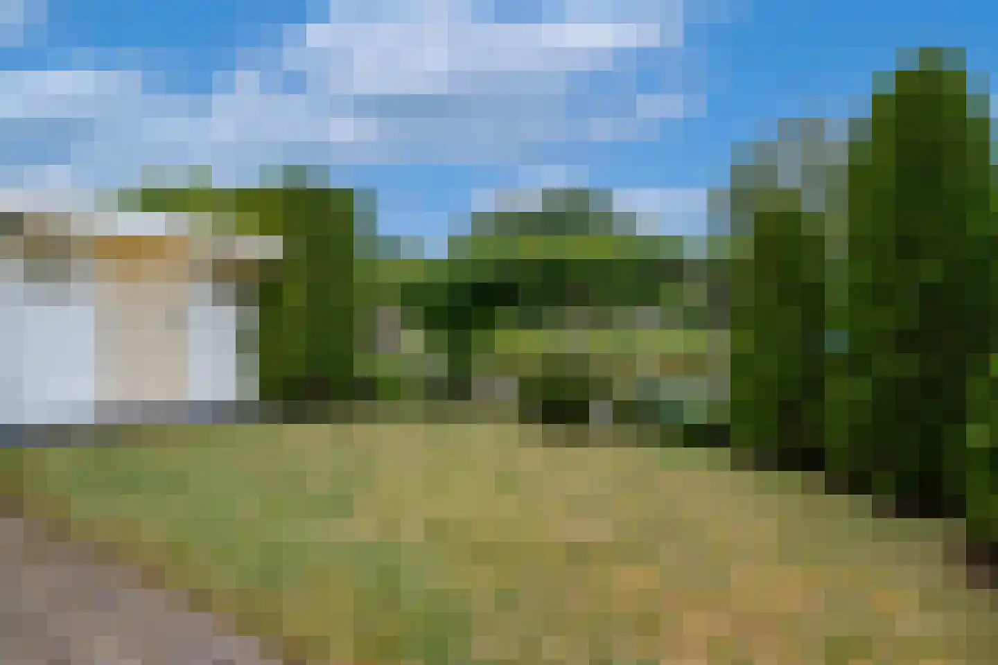 Valeriaan 29 Heerenveen thumbnail 45