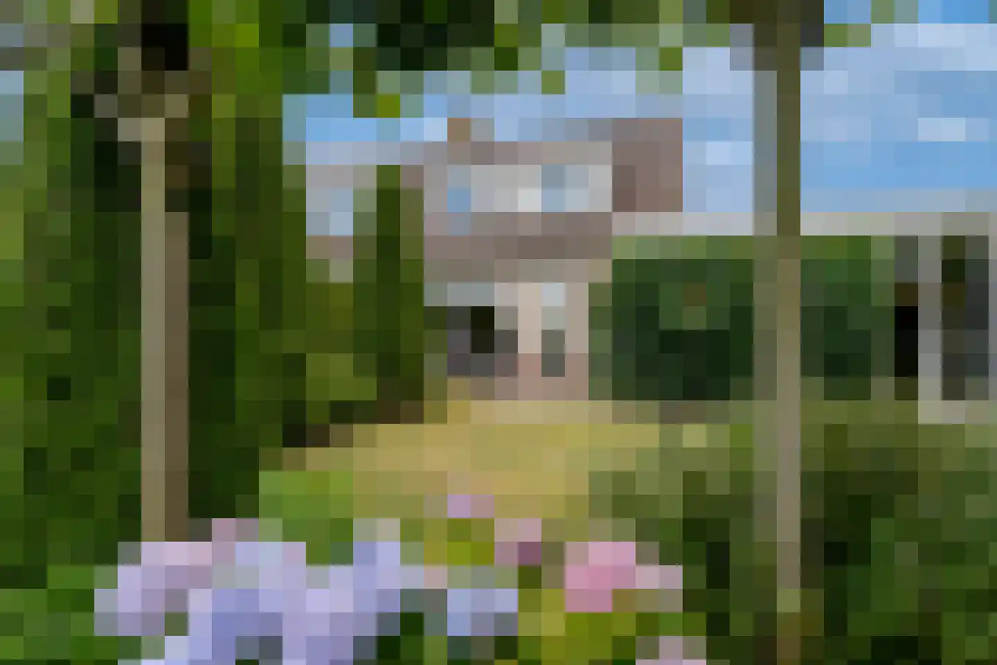 Valeriaan 29 Heerenveen thumbnail 47