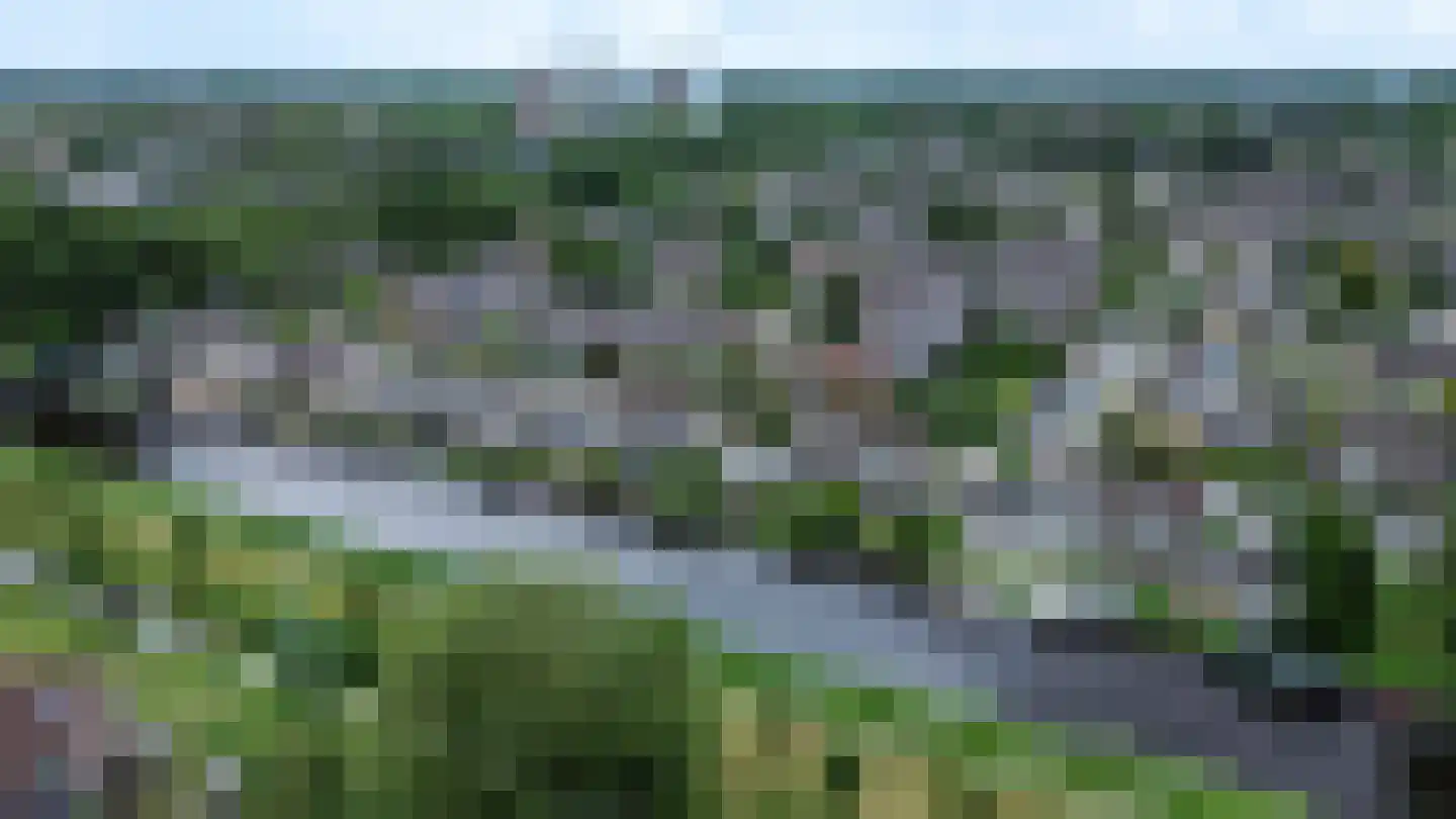 Valeriaan 29 Heerenveen thumbnail 50