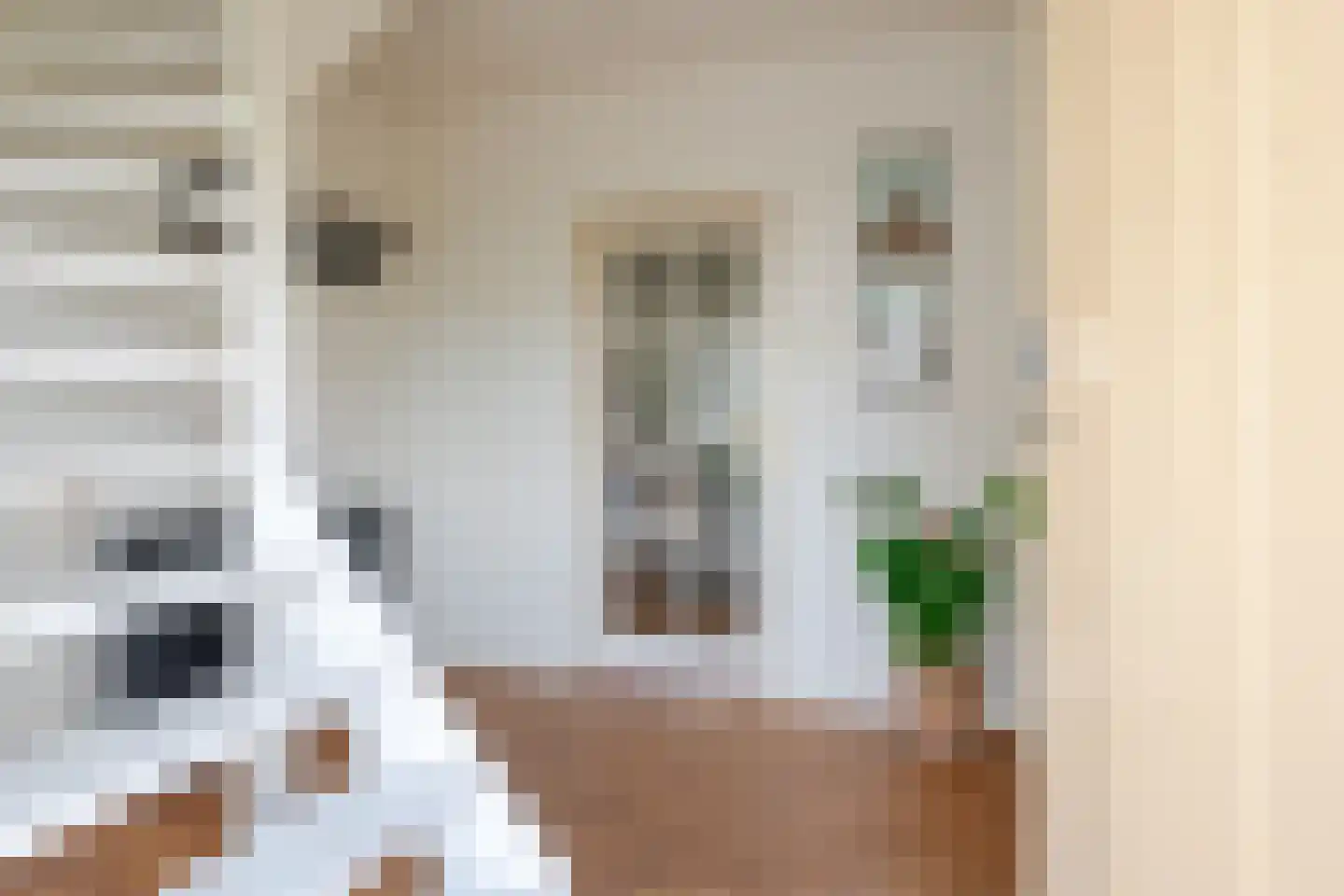Valeriaan 29 Heerenveen thumbnail 6