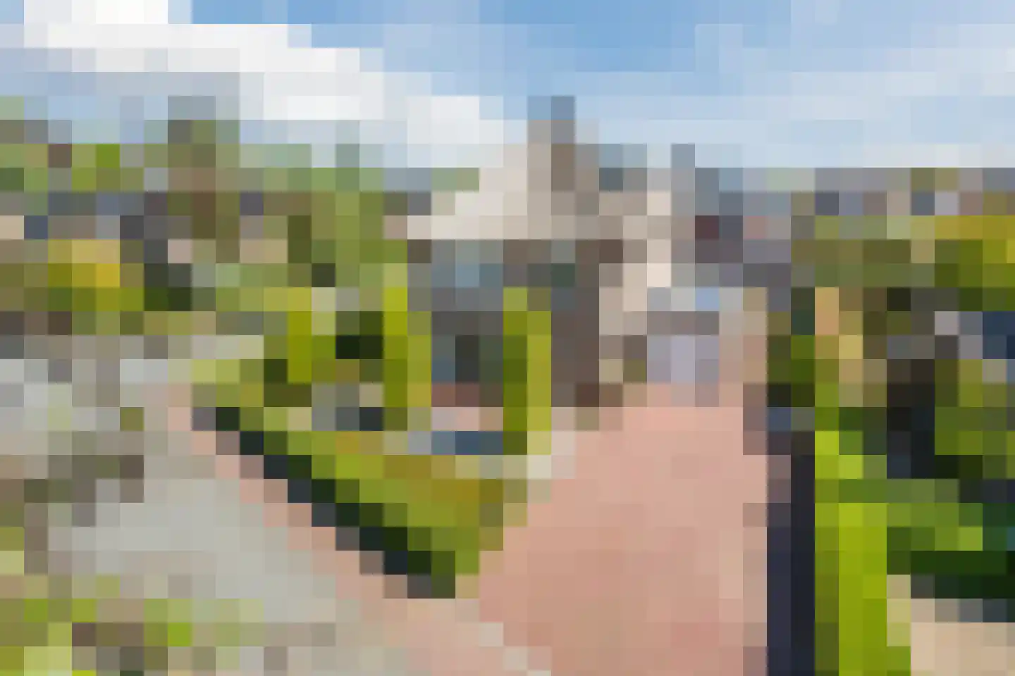 Valeriaan 29 Meppel