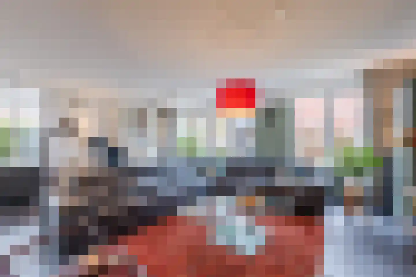 Valeriaan 29 Meppel thumbnail 10