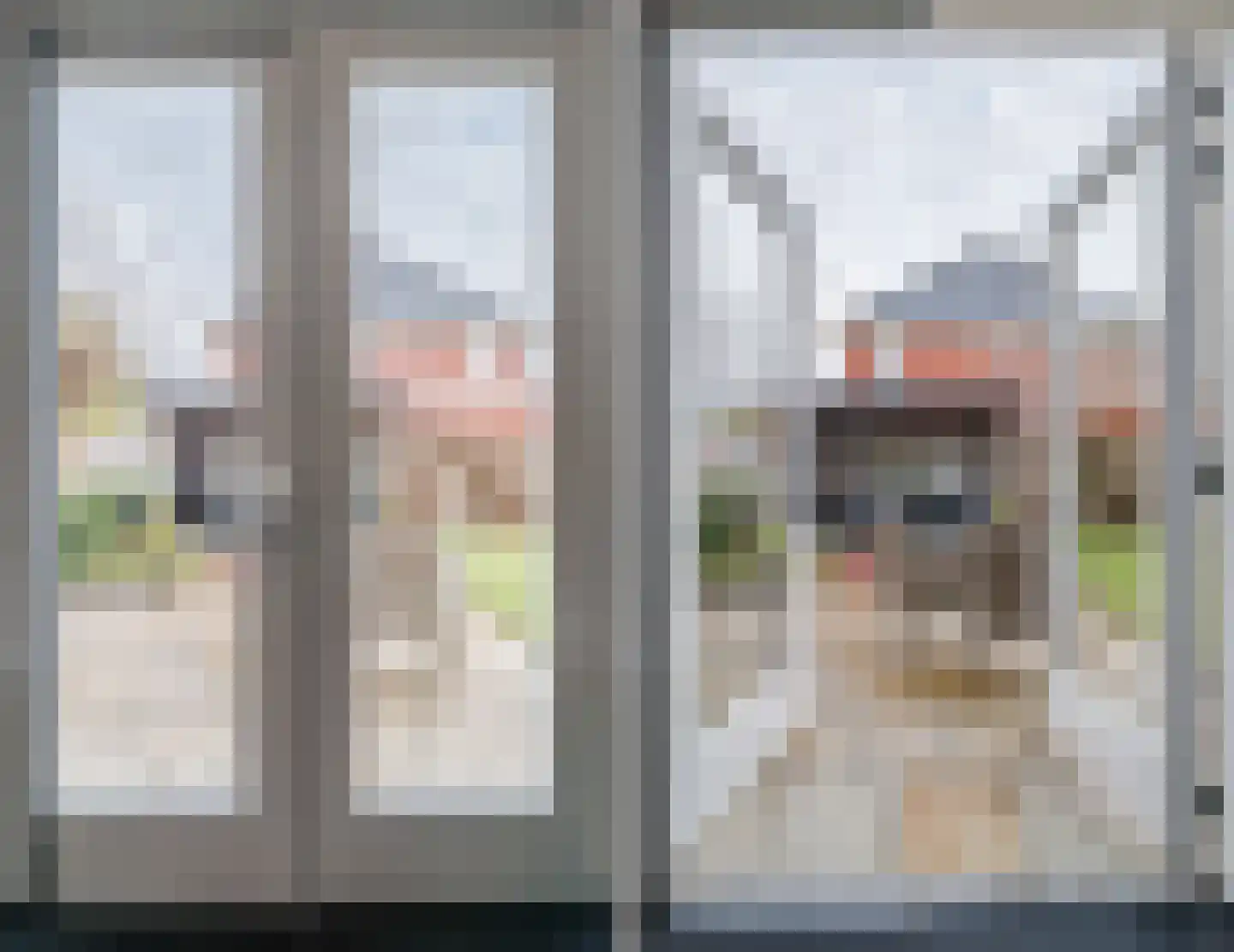 Valeriaan 29 Meppel thumbnail 12