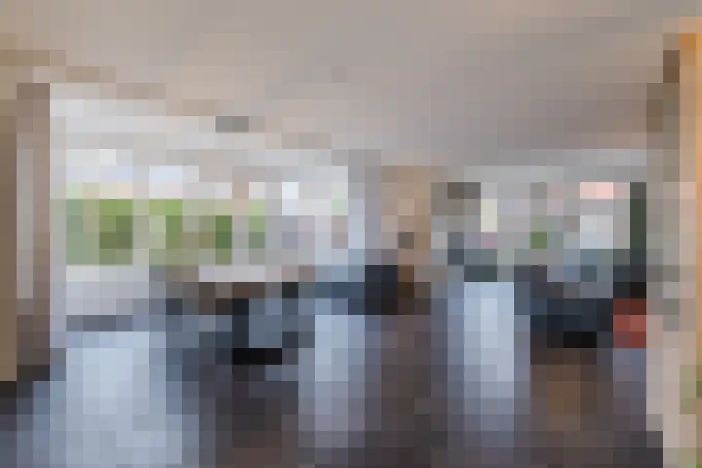 Valeriaan 29 Meppel thumbnail 13