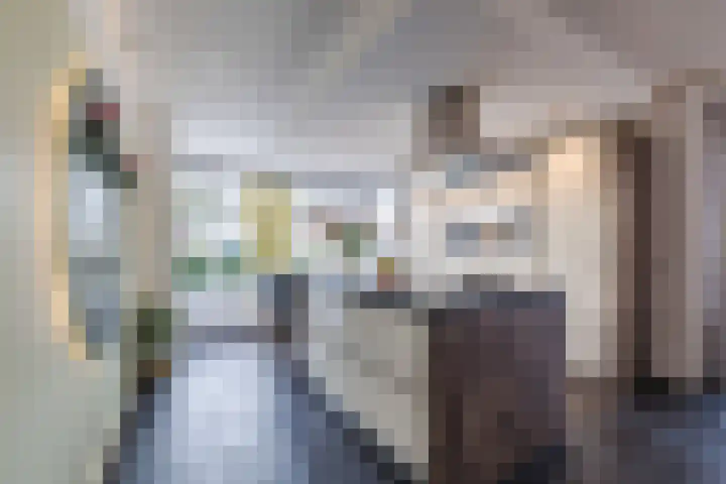 Valeriaan 29 Meppel thumbnail 15