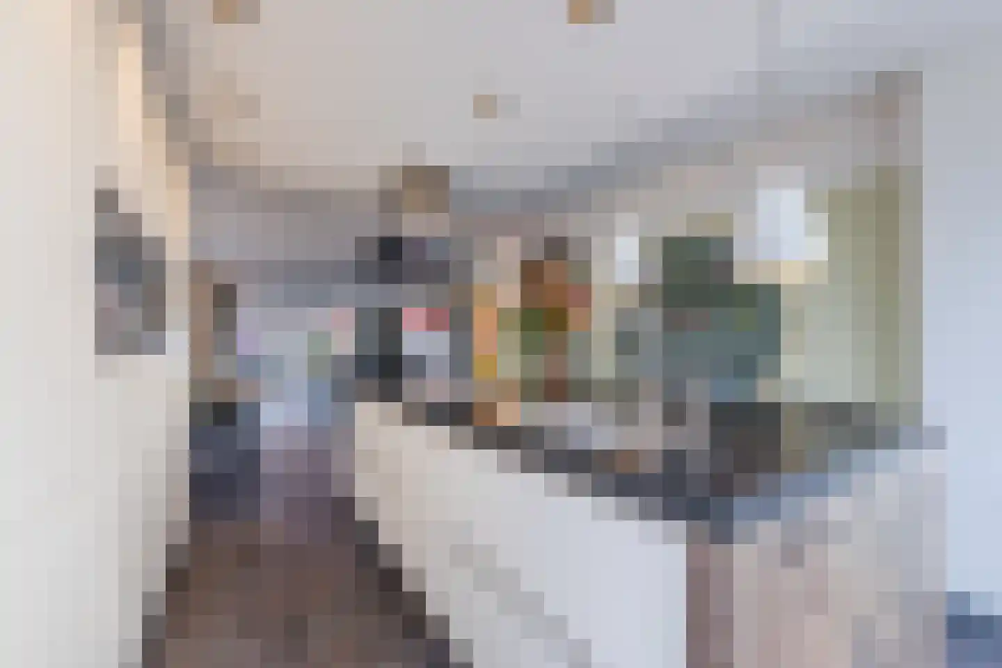Valeriaan 29 Meppel thumbnail 16